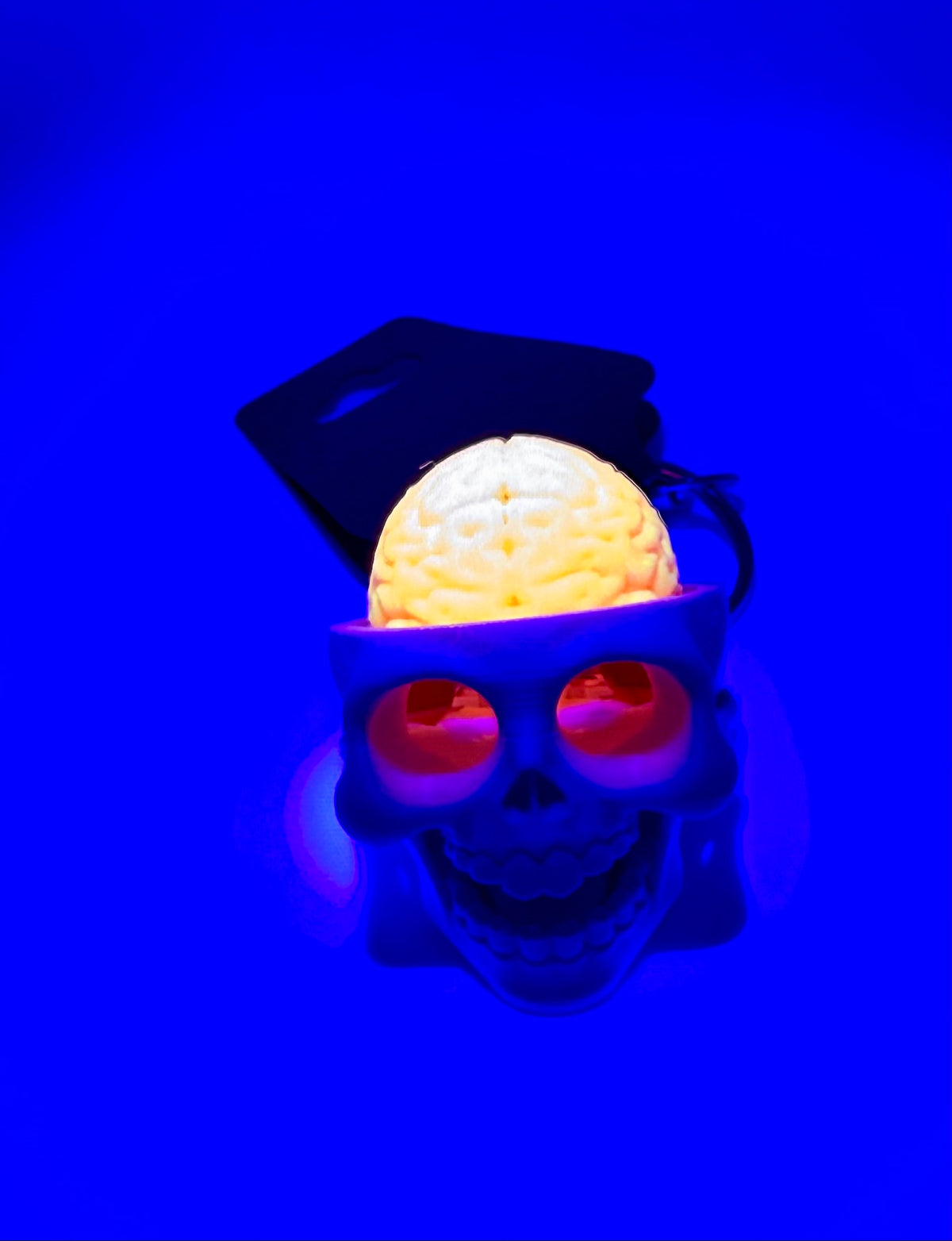 GlowBrain Skull Fidget Clicker Keychain – Glow Brain