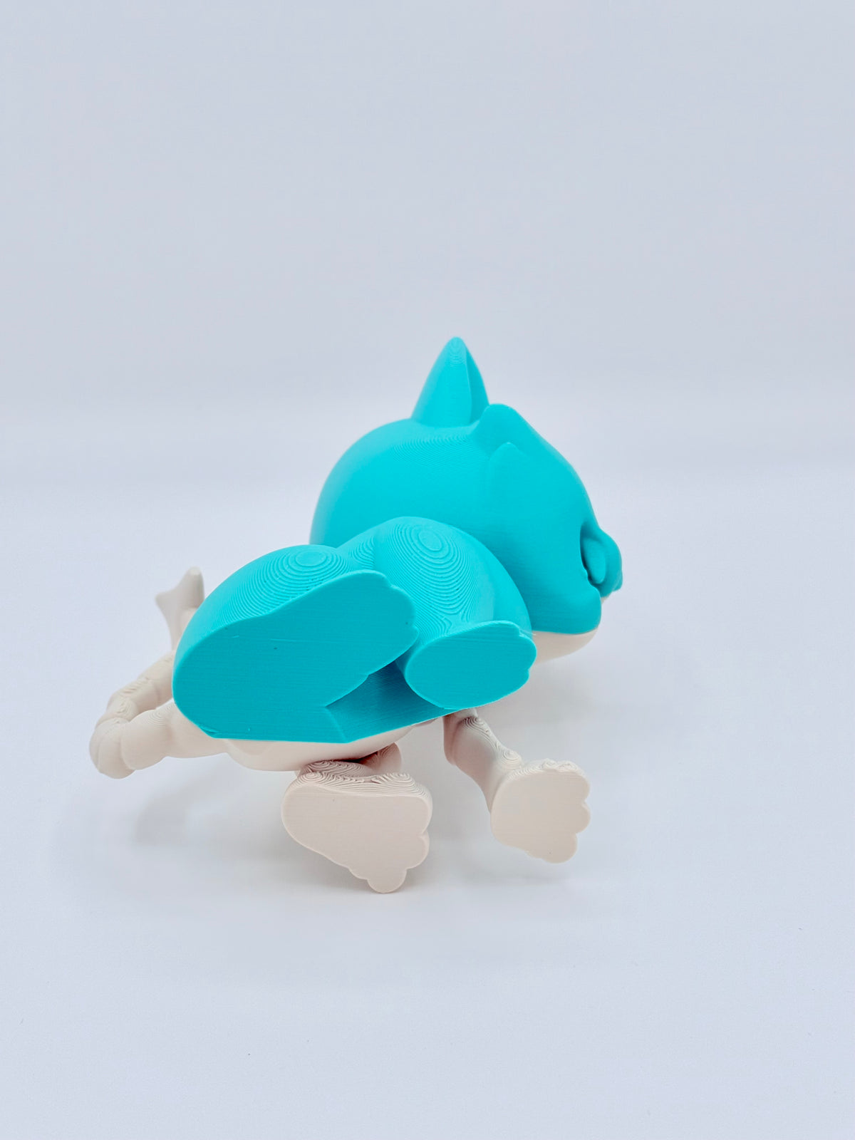 Cute devilish feline friend with Glow in the dark eye
