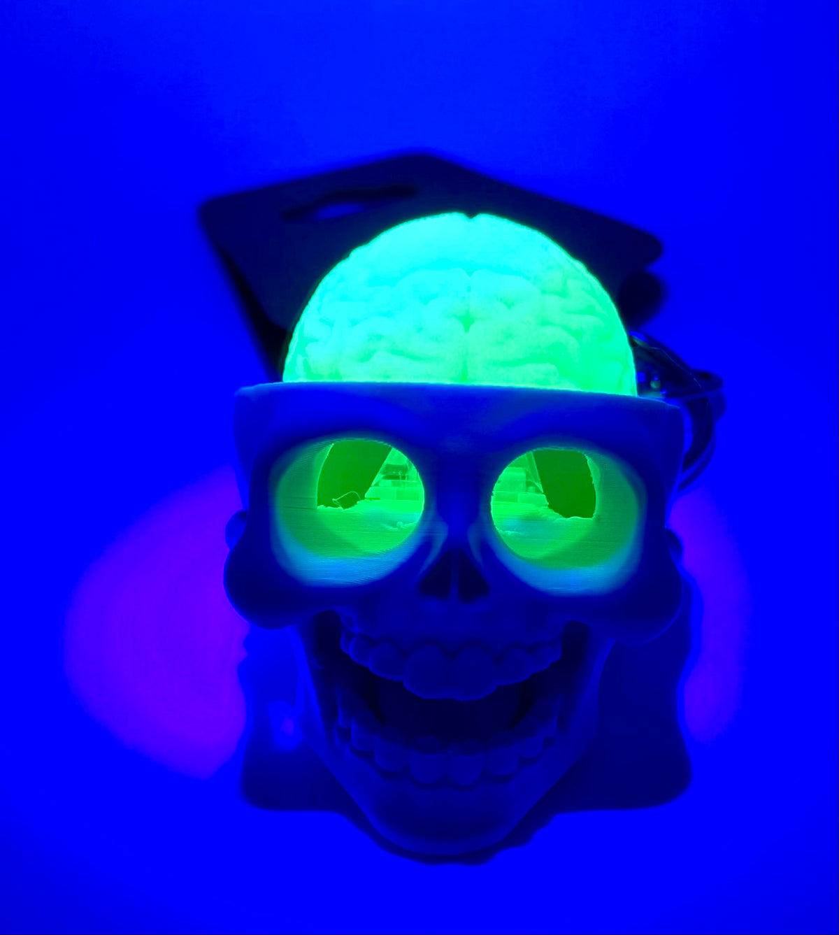GlowBrain Skull Fidget Clicker Keychain – Green Brain, Glow